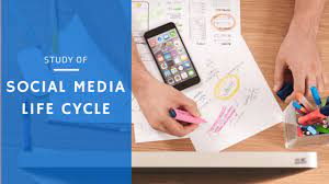 social media life cycle