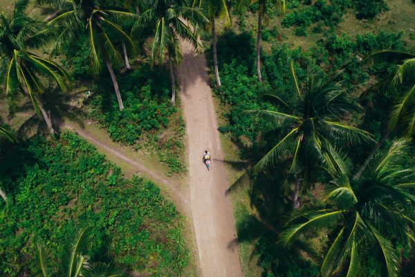 kerala tourism case study