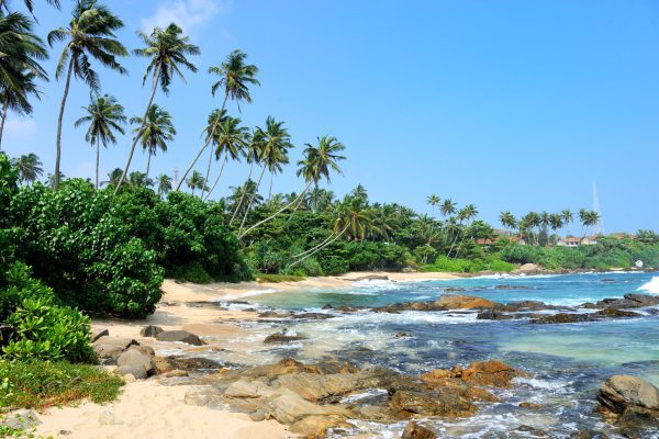 kerala tourism case study